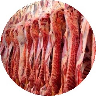 Carne Vacuna / Beef