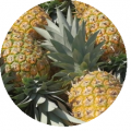 Ananas Pineapple