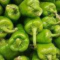 chile verde